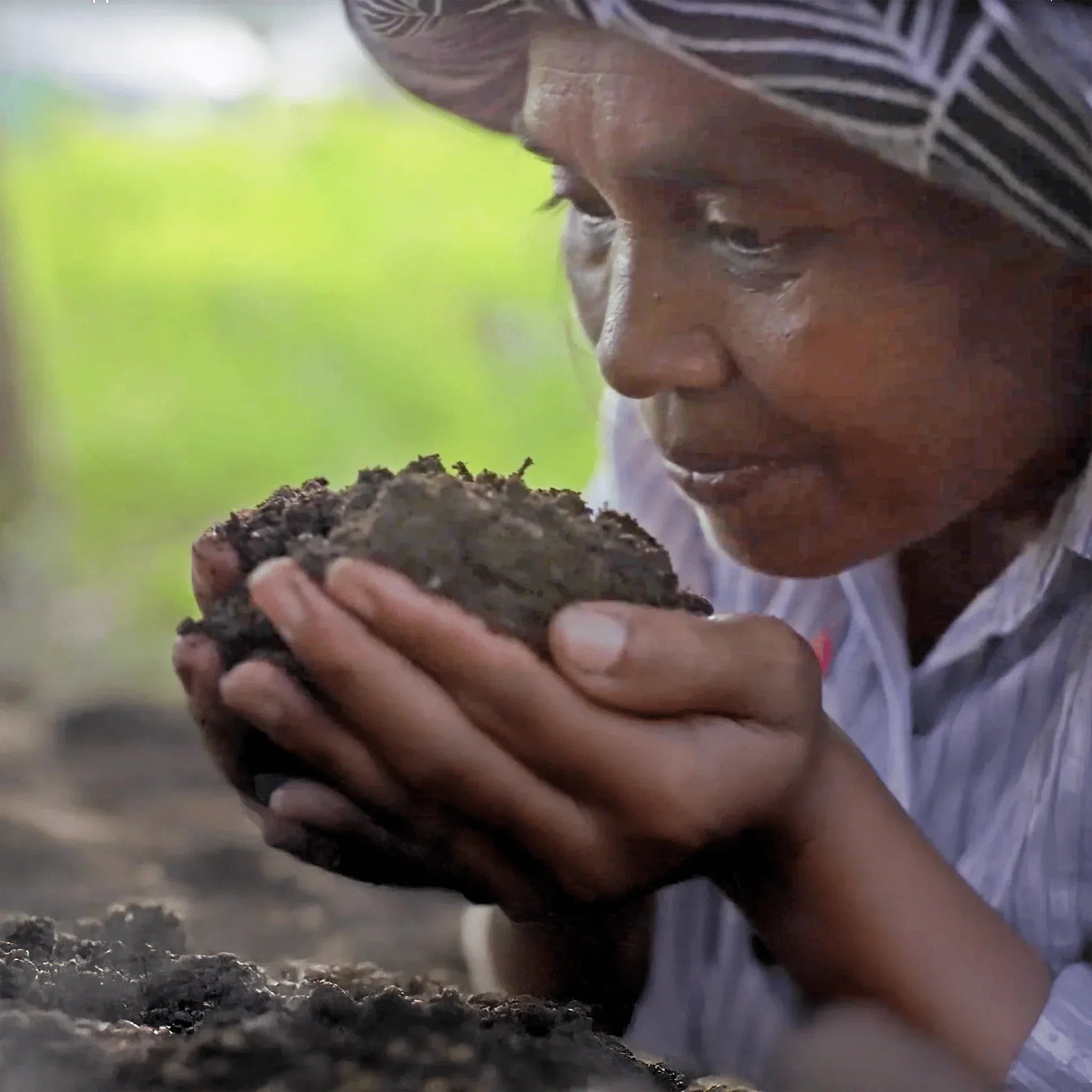 Regenerative Landwirtschaft in Kambodscha: Ein Interview mit Keo - Conflictfood