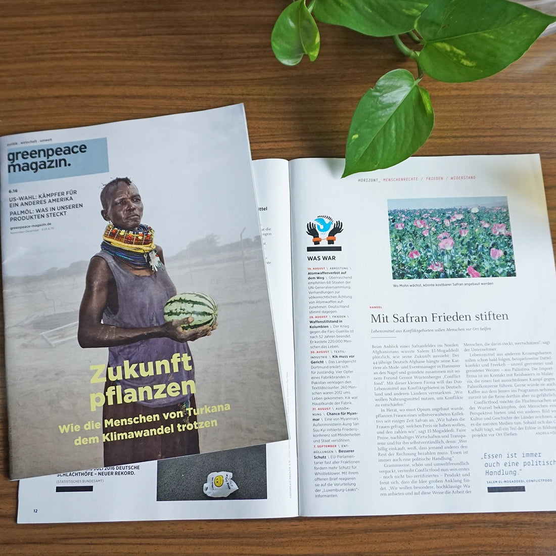 Das Magazin Greenpeace ist aufgeschlagen und ein Artikel mit dem Bild von Opiumfeldern ist zu sehen