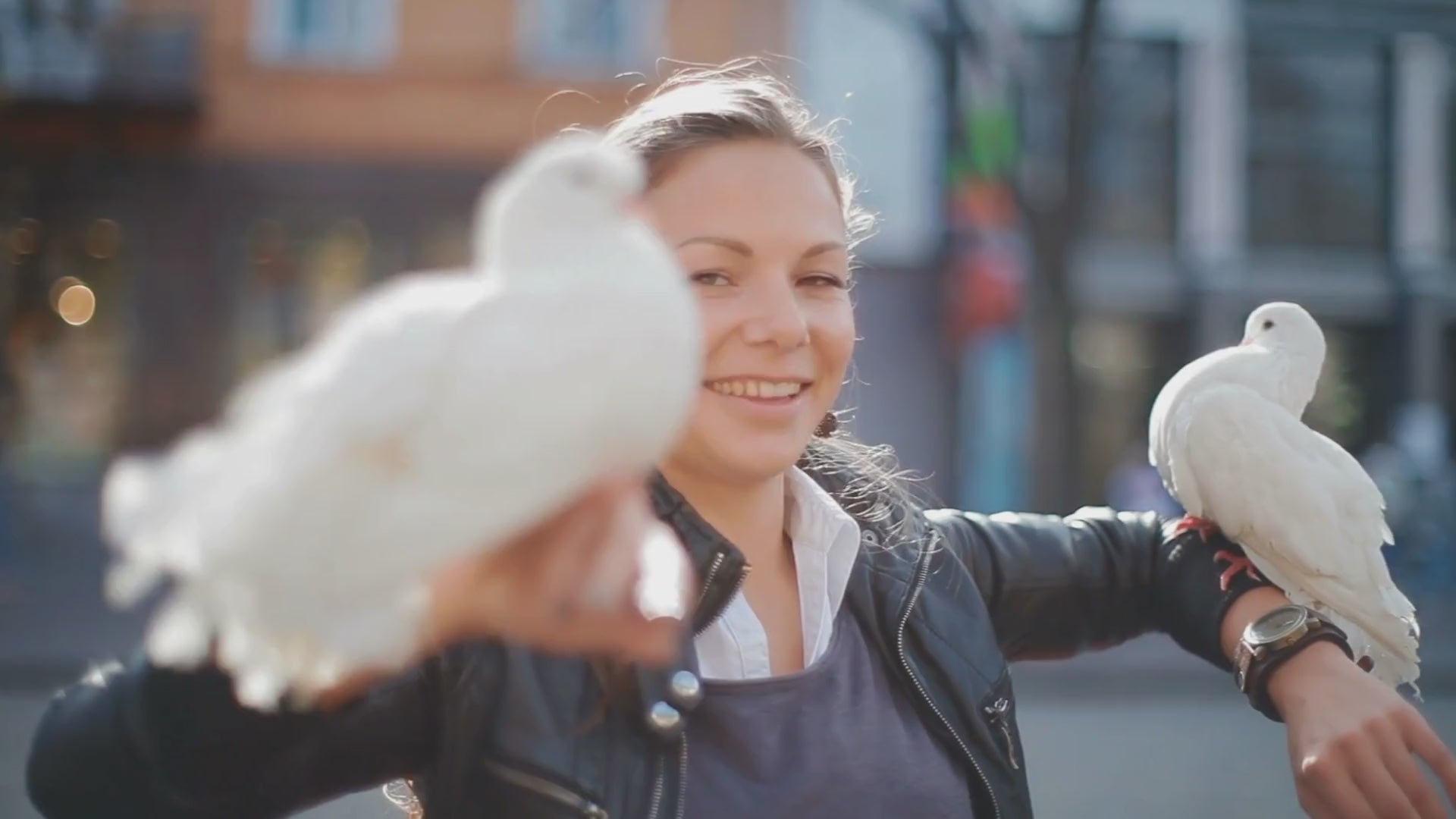 Video laden: Conflictfood Image Video mit Friedenssymbolen und Landwirtschaftlichen Szenen
