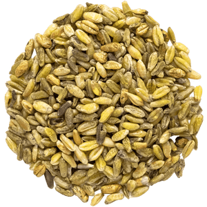 gerösteter grüner Weizen lose ganze Körner getrocknet