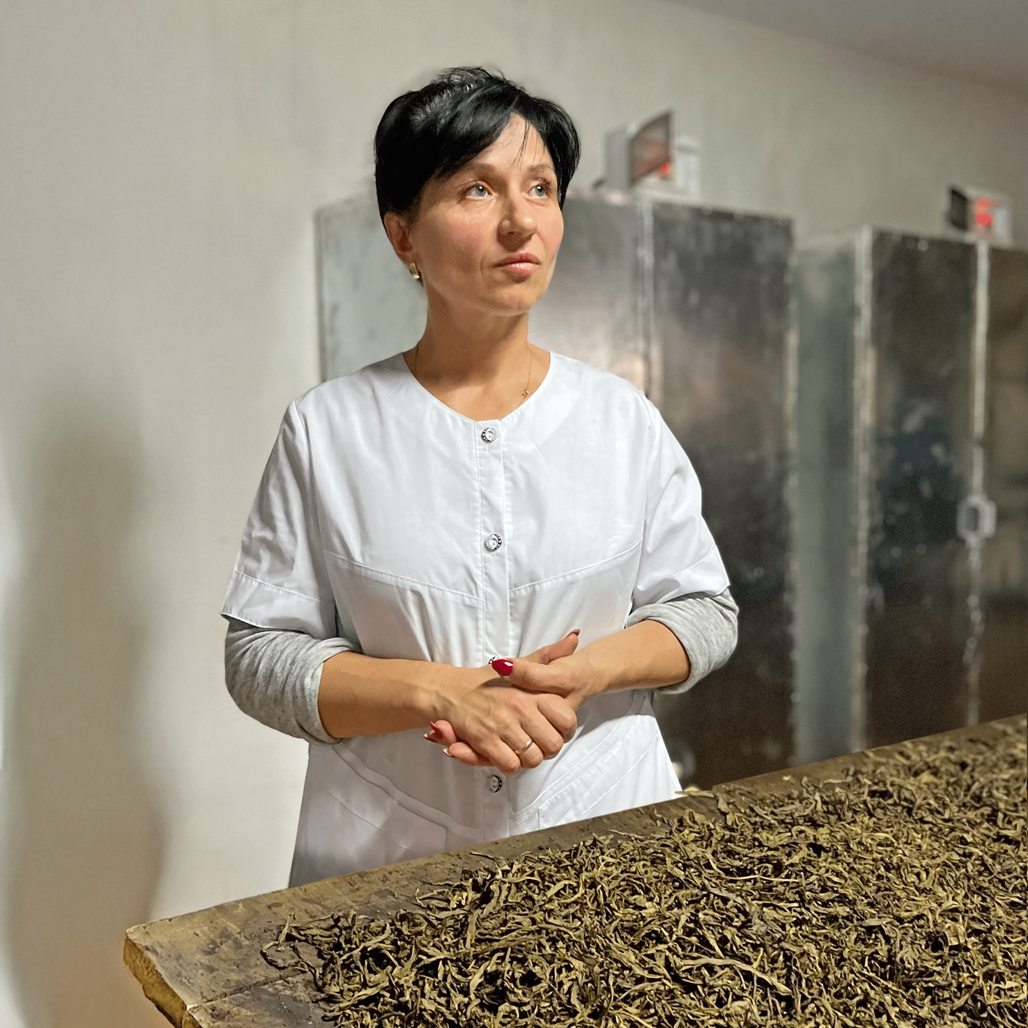 Spendenpaket: Kräutertee aus der Ukraine - Conflictfood
