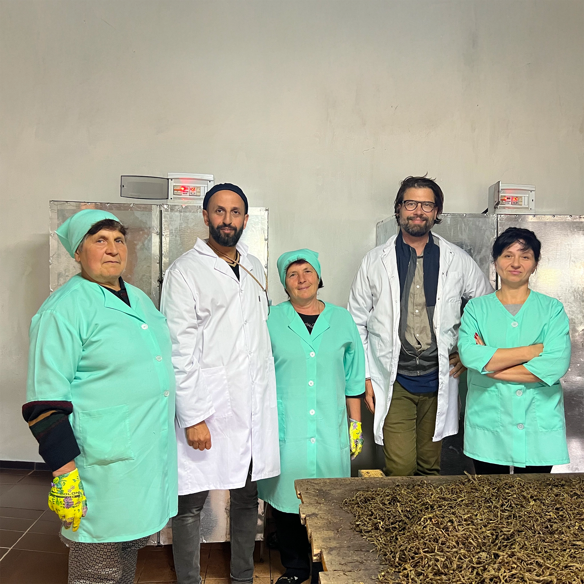 Das Team von Conflictfood wird von einer Gruppe von Bäuerinnen in der Ukraine durch die Ivan Chai Teeproduktion geführt