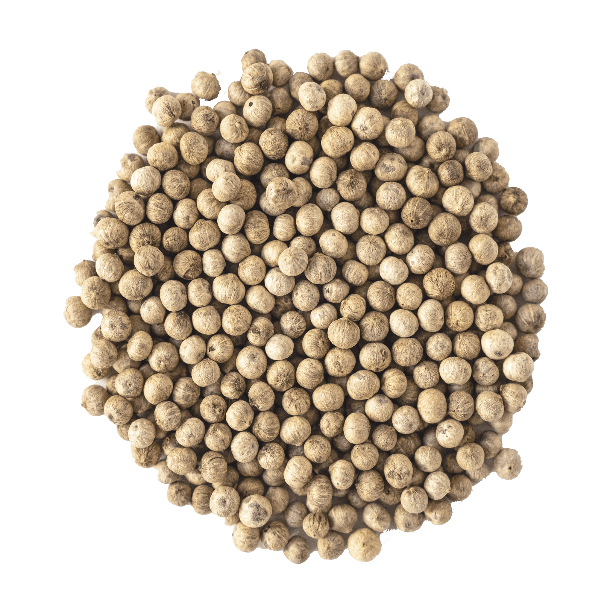 ganze weisse Kampot Pfefferkörner lose