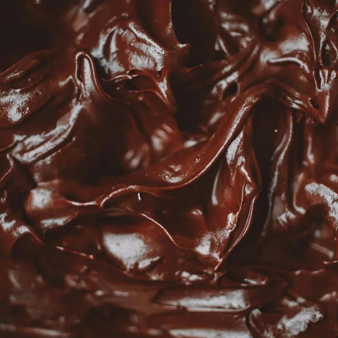 Cacao d’Amour Crème – Schoko-Dessert mit Charakter - Conflictfood
