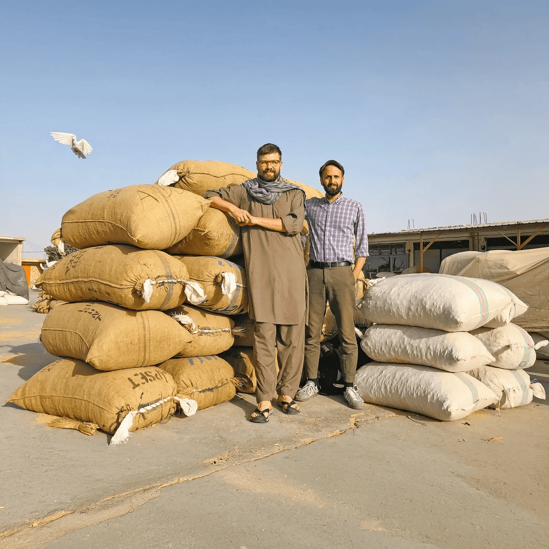 Nachhaltige Alternativen statt Abhängigkeit: Conflictfood macht den Unterschied - Conflictfood