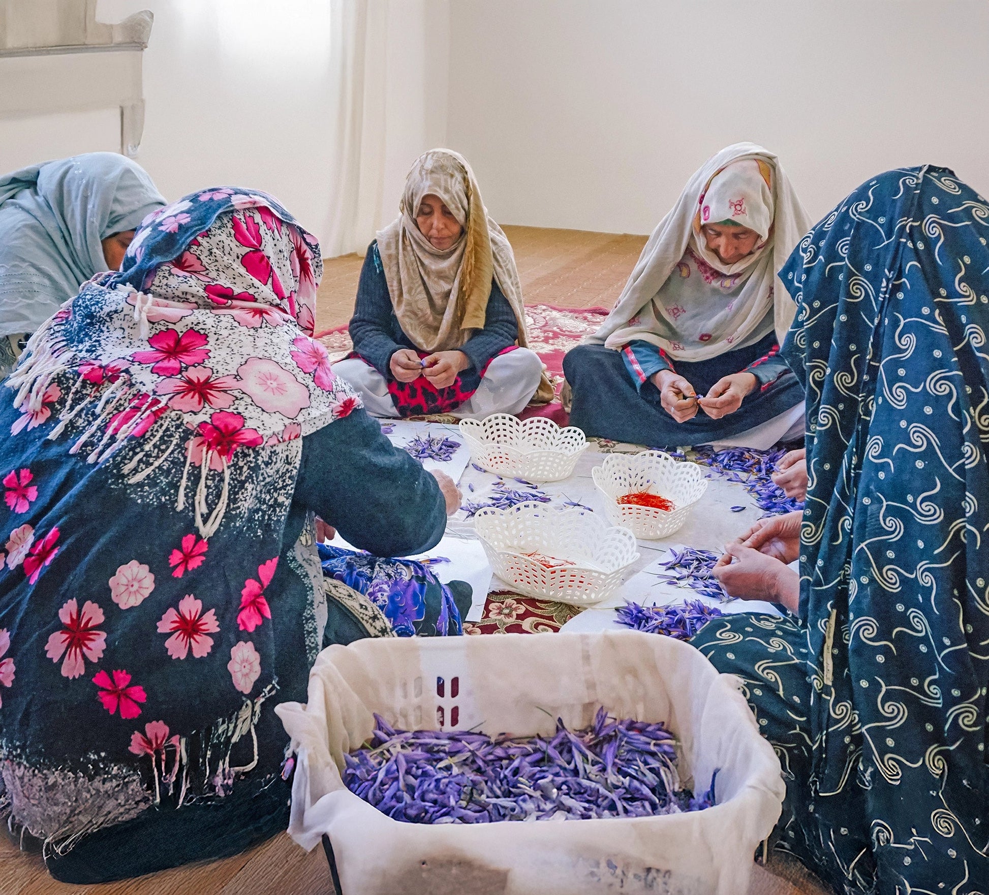 Eine Gruppe von Frauen in Afghanistan verarbeitet Safranblüten zu Safran 